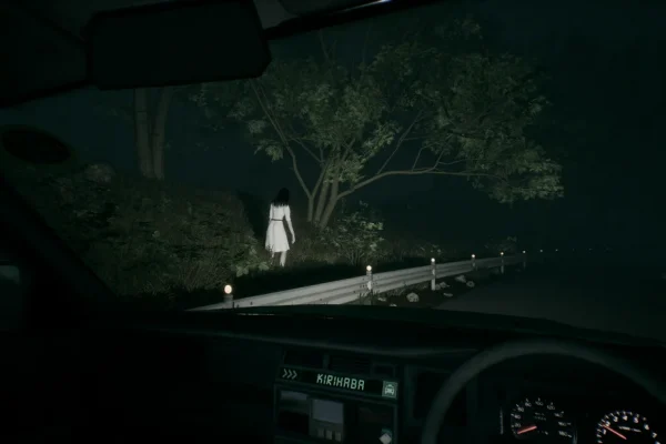 ระบบสภาพอากาศและเวลากลางคืนส่งผลต่อการขับขี่ใน Night Driver 2025 อย่างไร